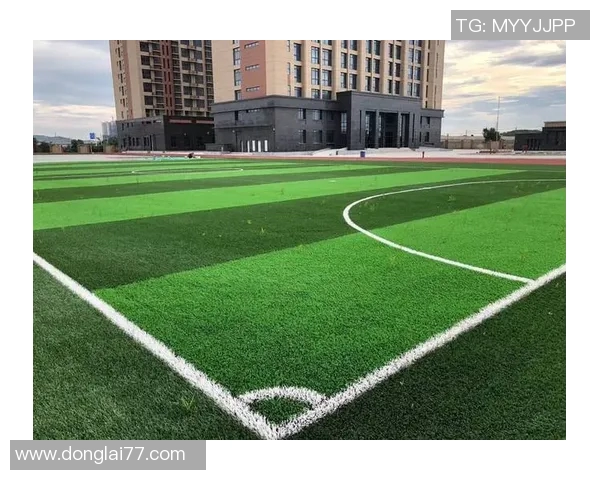 优质足球场草坪厂家推荐助力运动场地提升竞技水平与观赏体验