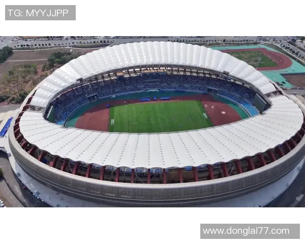 大小场足球的魅力与技巧探讨如何在不同场地上提升竞技水平